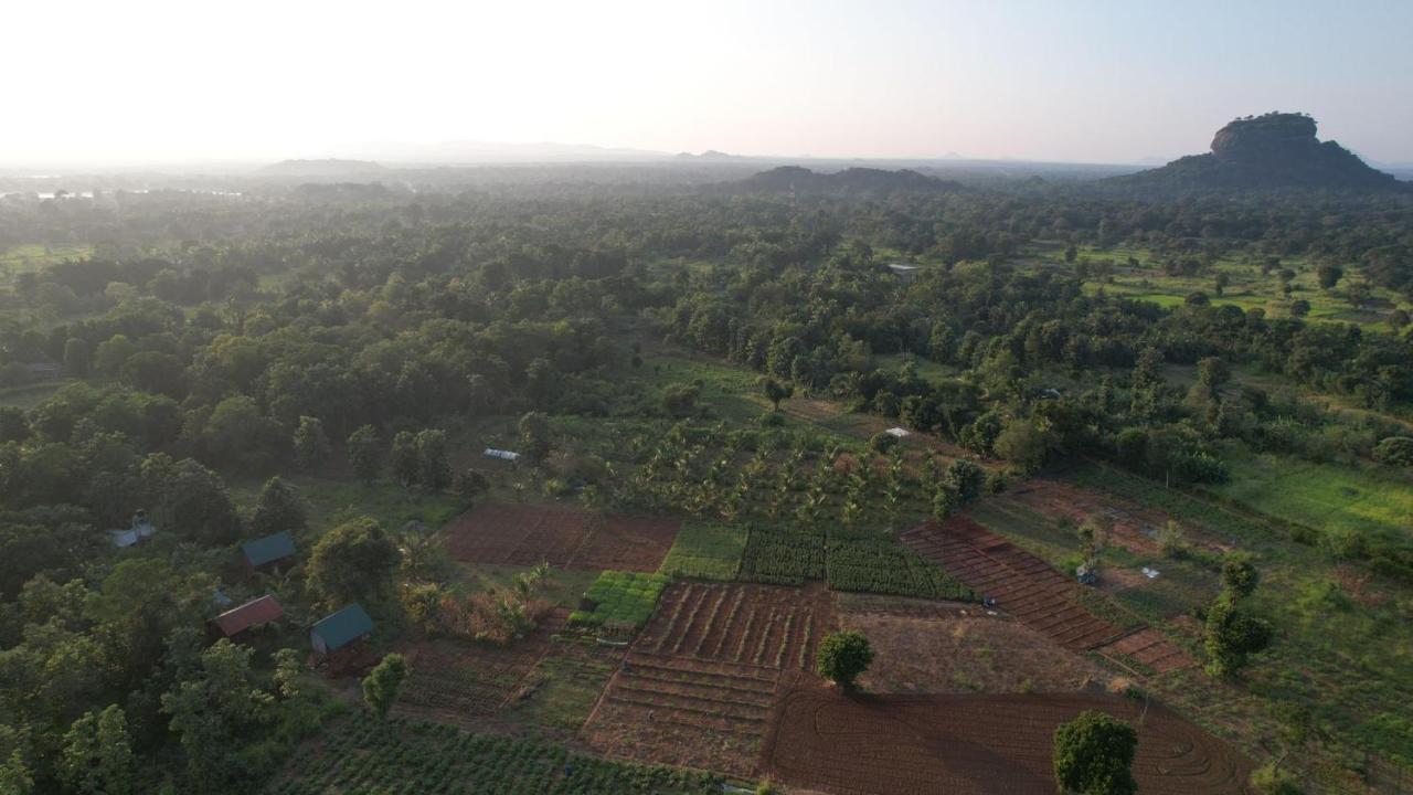 Chena Huts Eco Resort Sigiriya Eksteriør billede