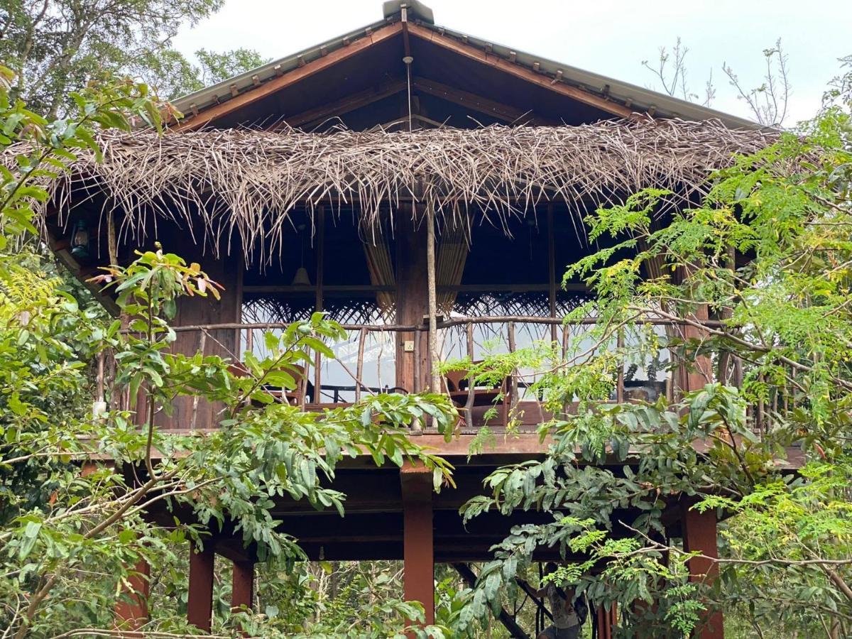 Chena Huts Eco Resort Sigiriya Eksteriør billede