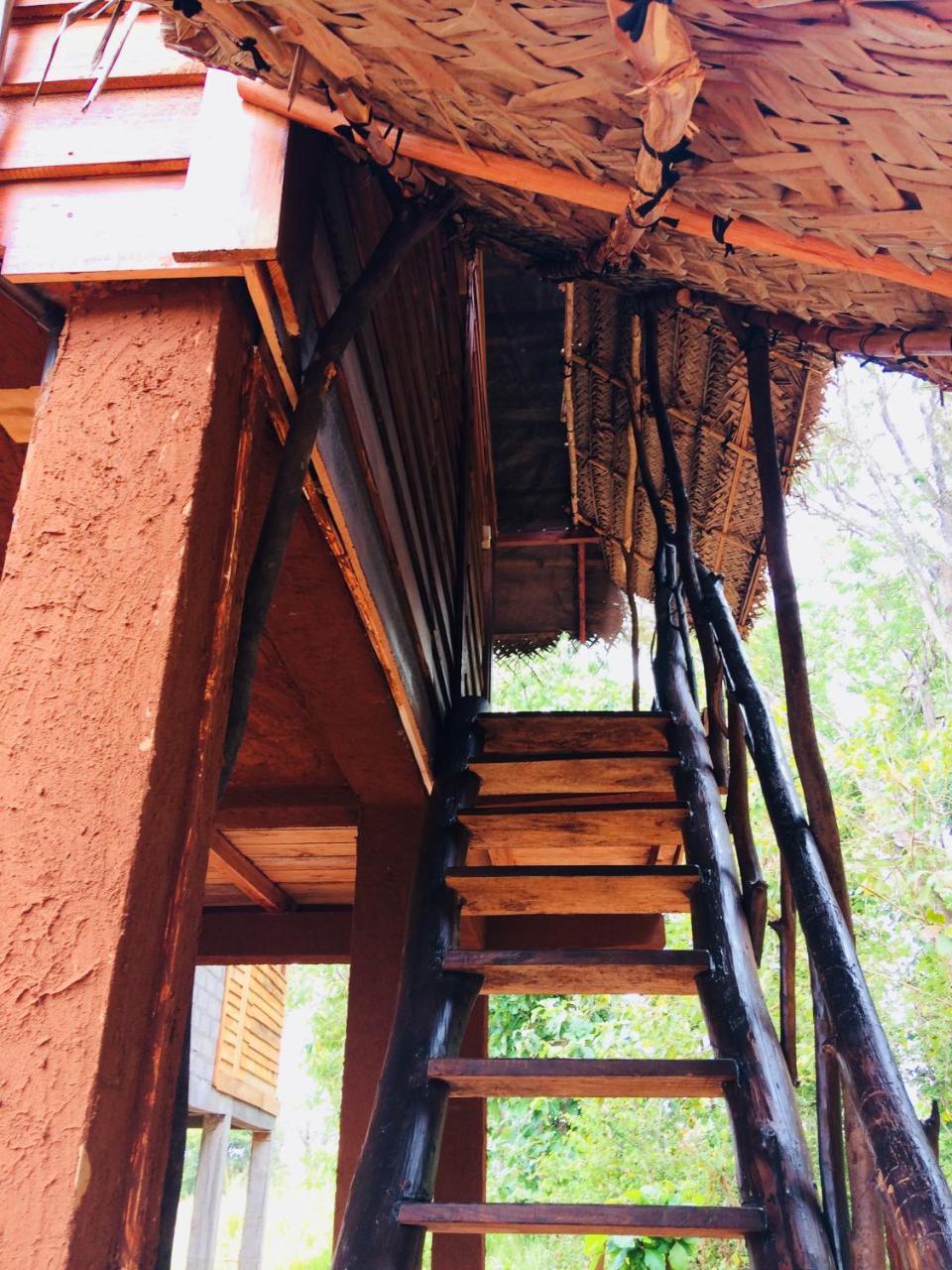 Chena Huts Eco Resort Sigiriya Eksteriør billede