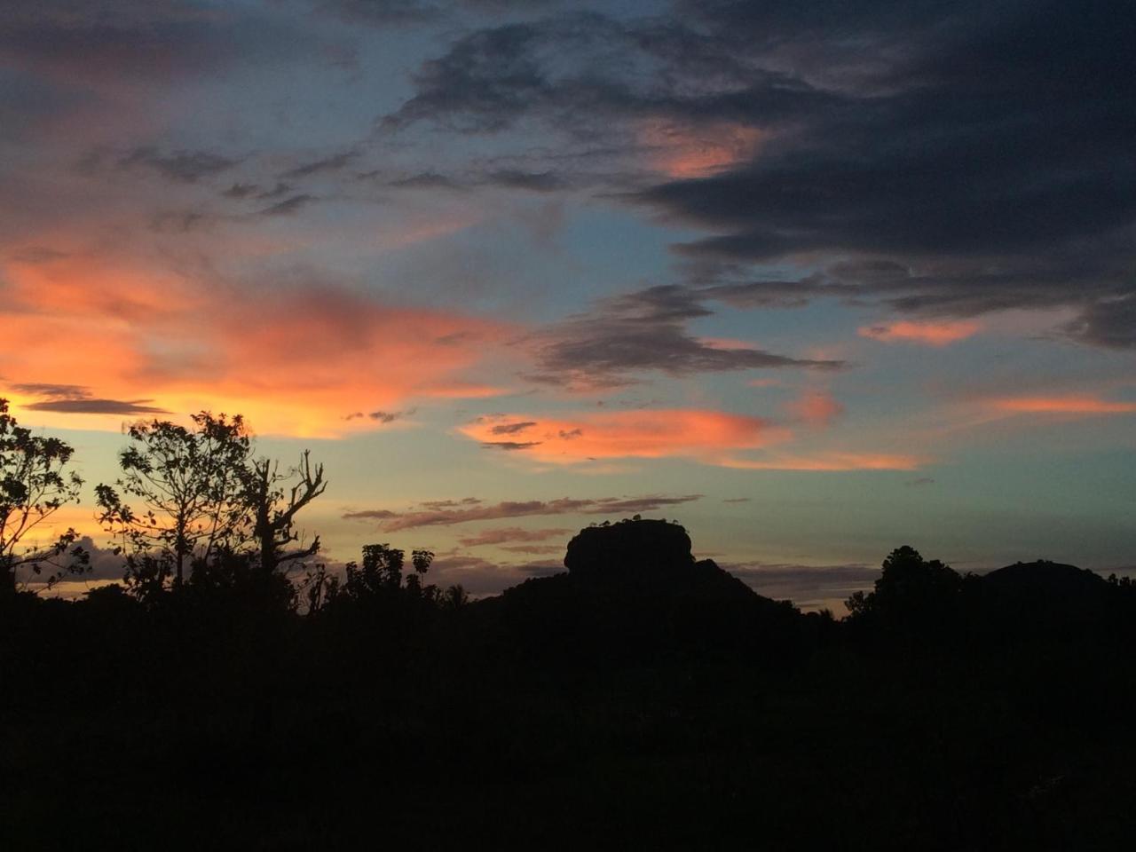 Chena Huts Eco Resort Sigiriya Eksteriør billede