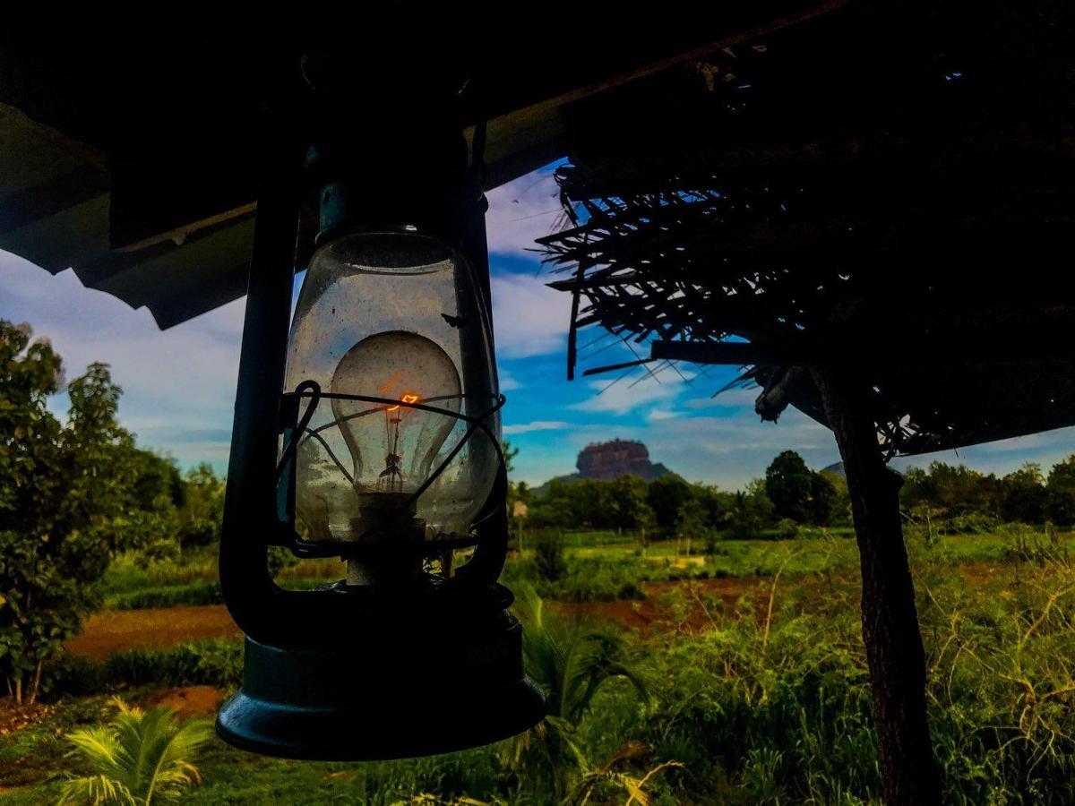 Chena Huts Eco Resort Sigiriya Eksteriør billede